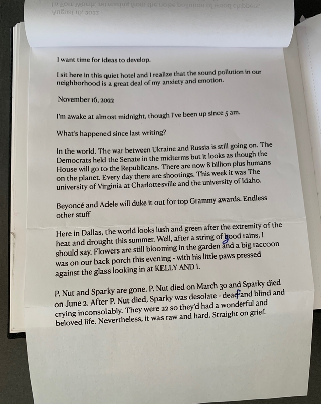 A journal entry discussing personal reflections, current events, and the passing of pets.