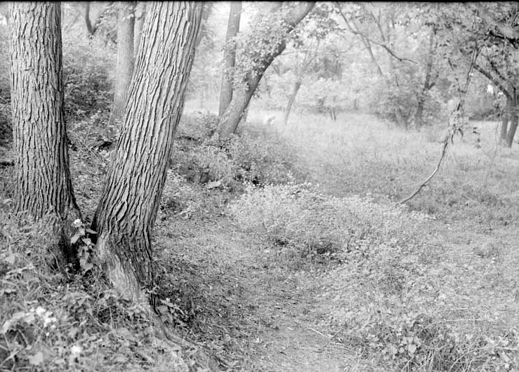Branson Grove, Salt Creek, 7.30 pm. Sept. 22, 1918. Lancaster County. Frank H. Shoemaker (321301-A0810)