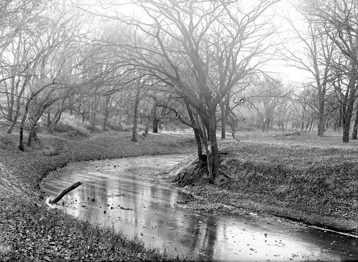 Salt Creek: Branson Woods, icebound. Nov. 13, 1920. Lancaster County. Frank H. Shoemaker (321301-A1211)