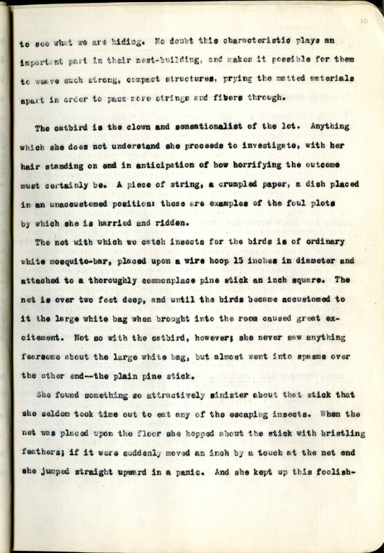 Frank H. Shoemaker typescript, 23 pages, on the bird-room in Omaha home