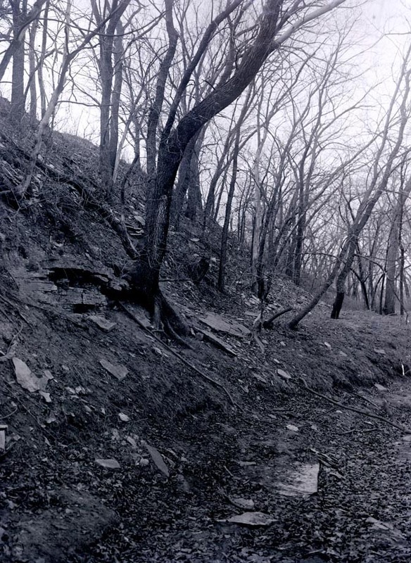 Original caption: Woodland near Roca Dec. 15, 1912