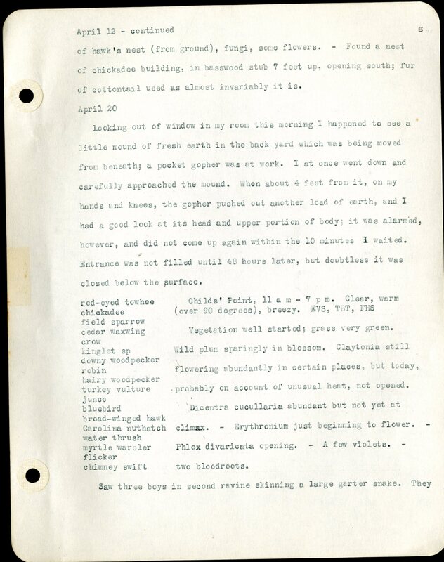 Frank H. Shoemaker typescript, 46 pages, detailing bird sightings, field trips, photography, and associated activities in Omaha, Nebraska.