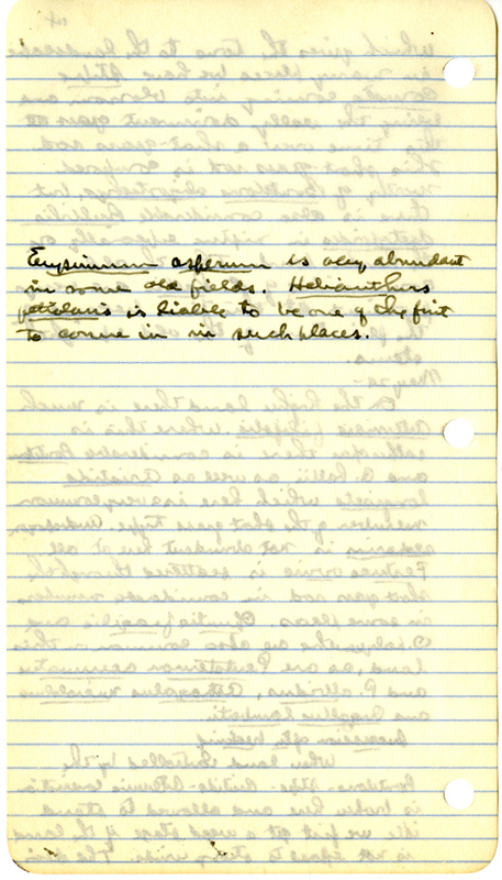 Raymond J. Pool Field Notes and Records