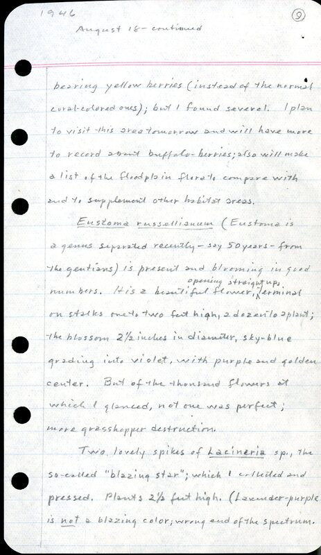 Frank Shoemaker - Sandhills Narratives