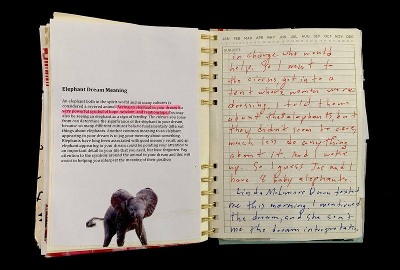 : A journal entry discussing a dream involving elephants, alongside a page from a dream interpretation book.