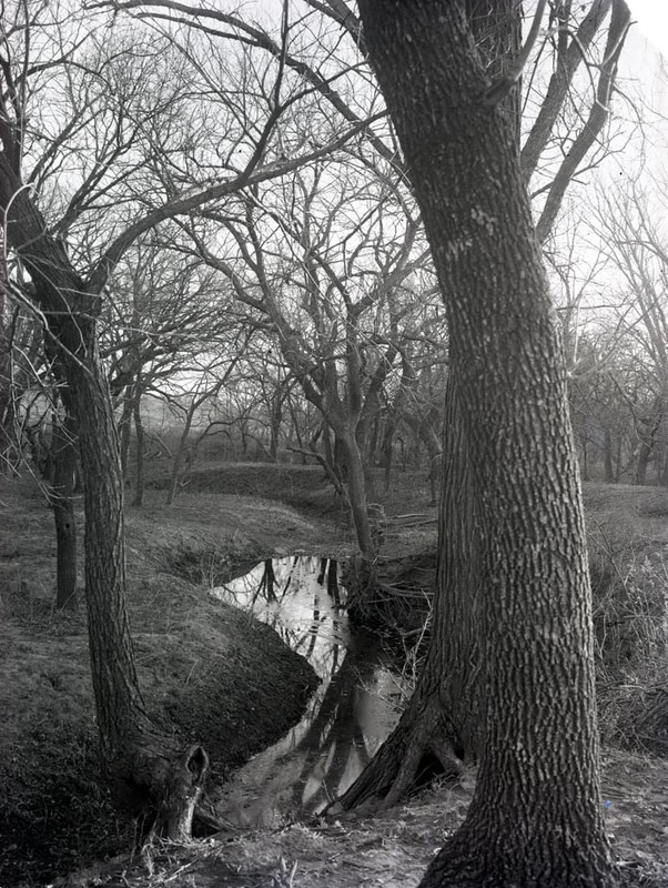 Original caption: Near Roca, Winter view, small trib. of Salt Creek. Dec. 1911