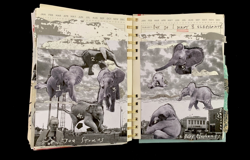 A collage of numbered elephants and a man with a soccer ball, accompanied by a calendar and a question about wanting eight elephants.