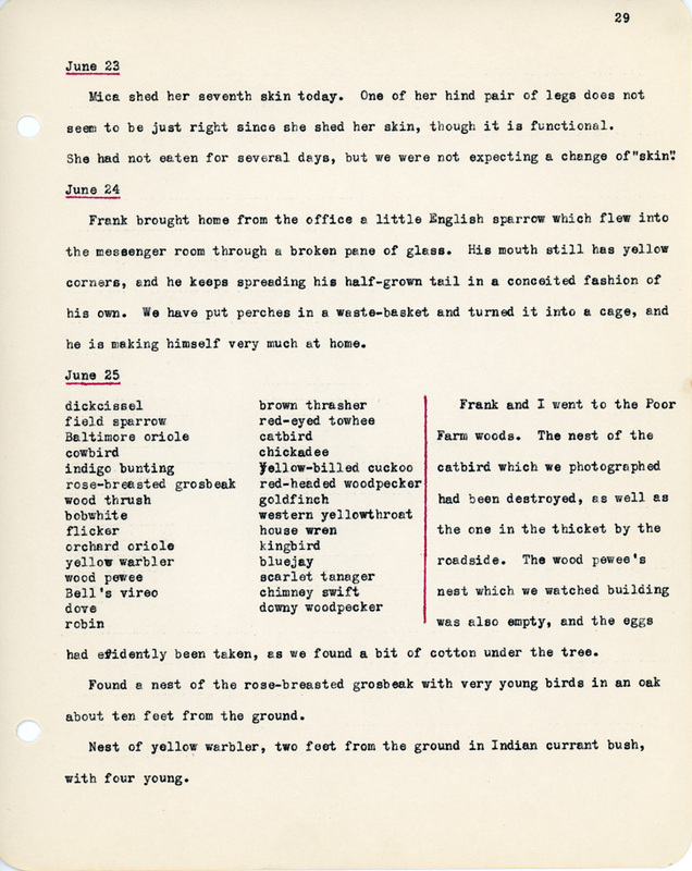 Elizabeth Van Sant transcribed letters