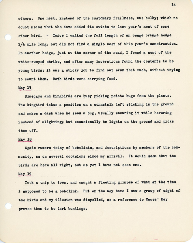 Elizabeth Van Sant transcribed letters