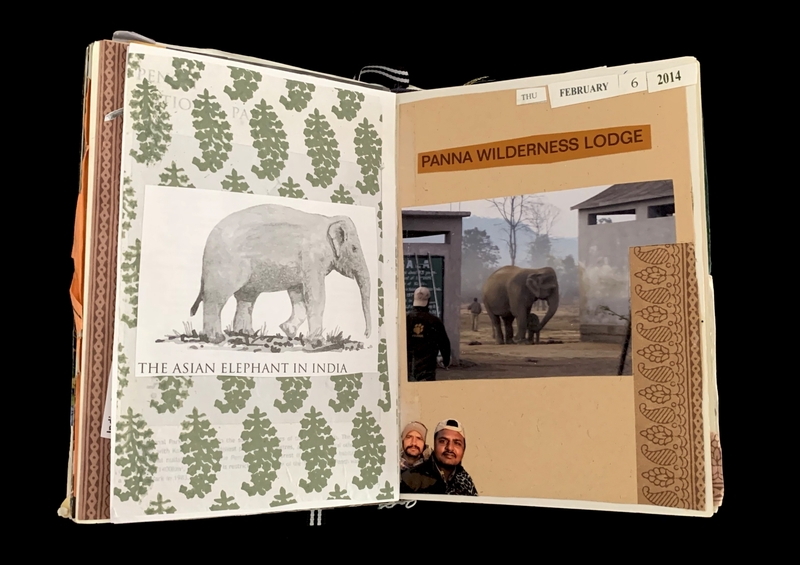 Open book showing an elephant illustration labeled "The Asian Elephant in India" and a page with a photo taken at Panna Wilderness Lodge.