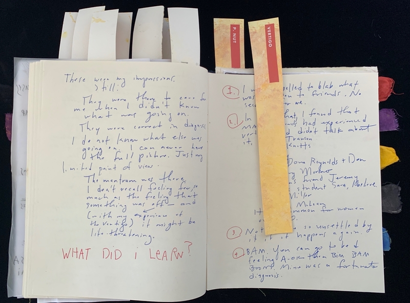 Open journal with handwritten text and bookmarks labeled "P. NUT" and "VERTIGO."