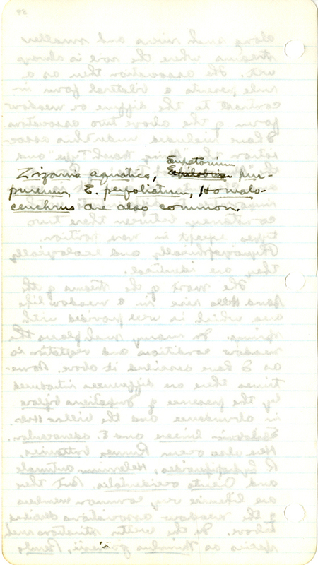 Raymond J. Pool Field Notes and Records