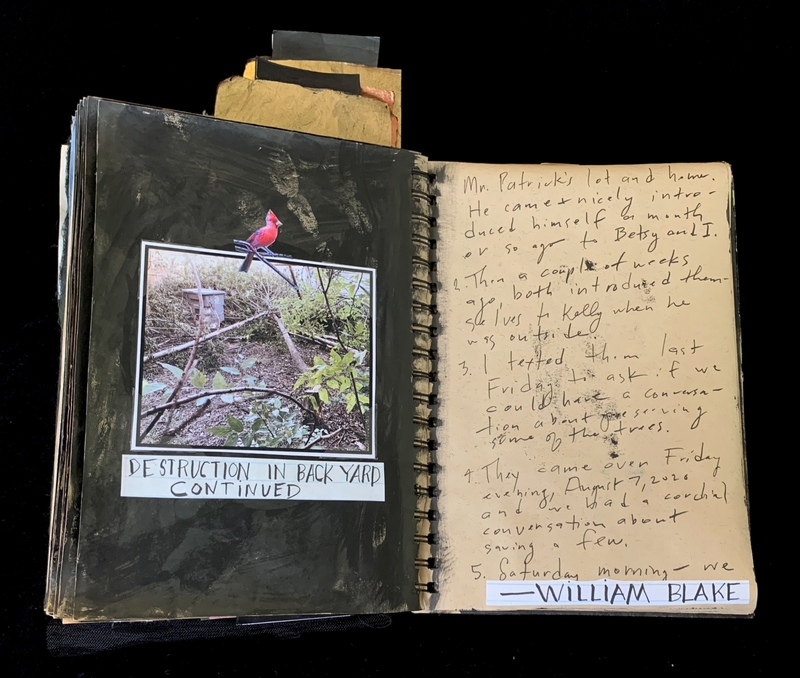 A photograph of a red cardinal perched on a branch is juxtaposed with handwritten notes in a journal entry.
