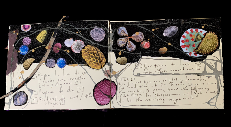 A mixed-media collage page featuring various organic shapes and handwritten notes.