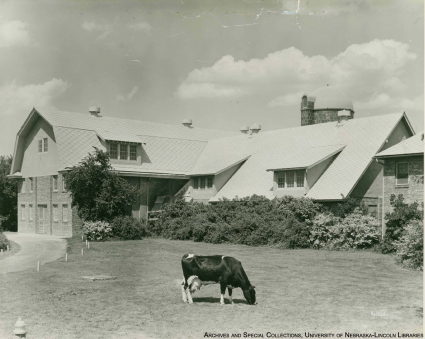 Dairy Barn (Replacement)