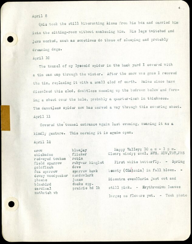 Frank H. Shoemaker typescript, 46 pages, detailing bird sightings, field trips, photography, and associated activities in Omaha, Nebraska.