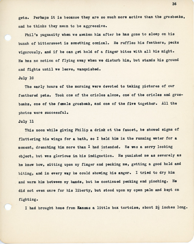 Elizabeth Van Sant transcribed letters