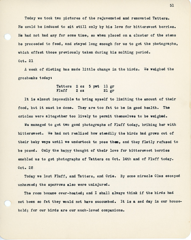 Elizabeth Van Sant transcribed letters