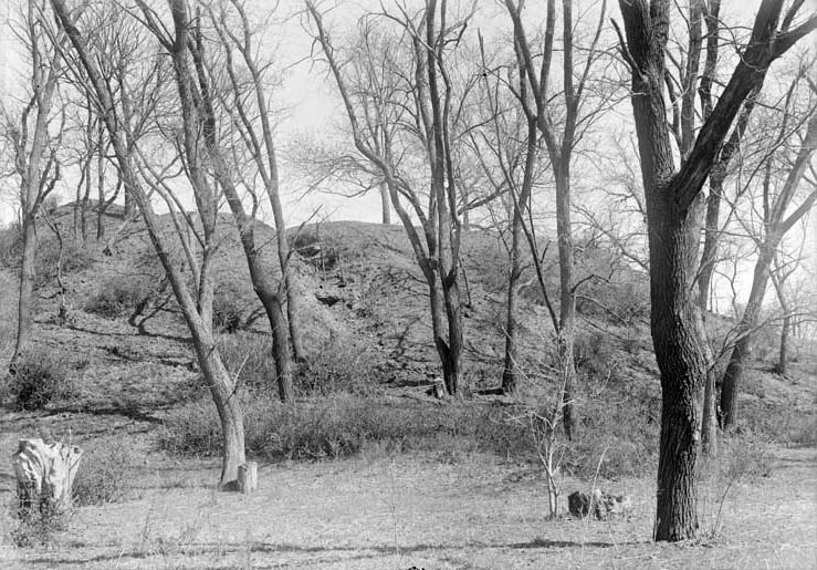 View near Branson woods. Apr. 18, 1919. Lancaster County. Frank H. Shoemaker (321301-A1015)