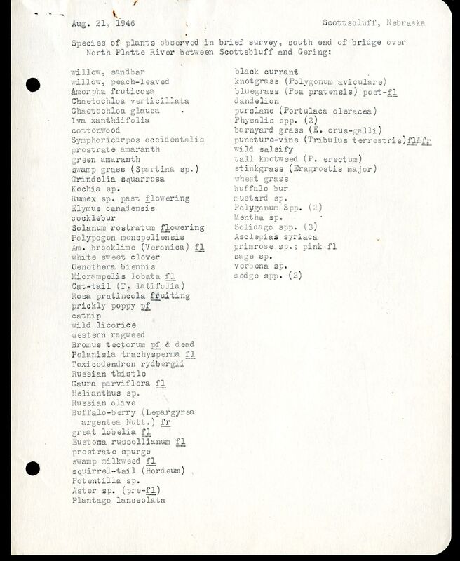 Frank Shoemaker - Sandhills Narratives