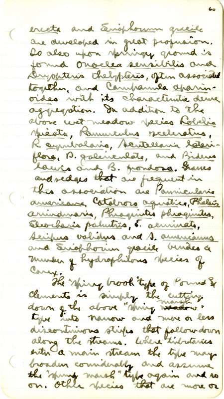 Raymond J. Pool Field Notes and Records