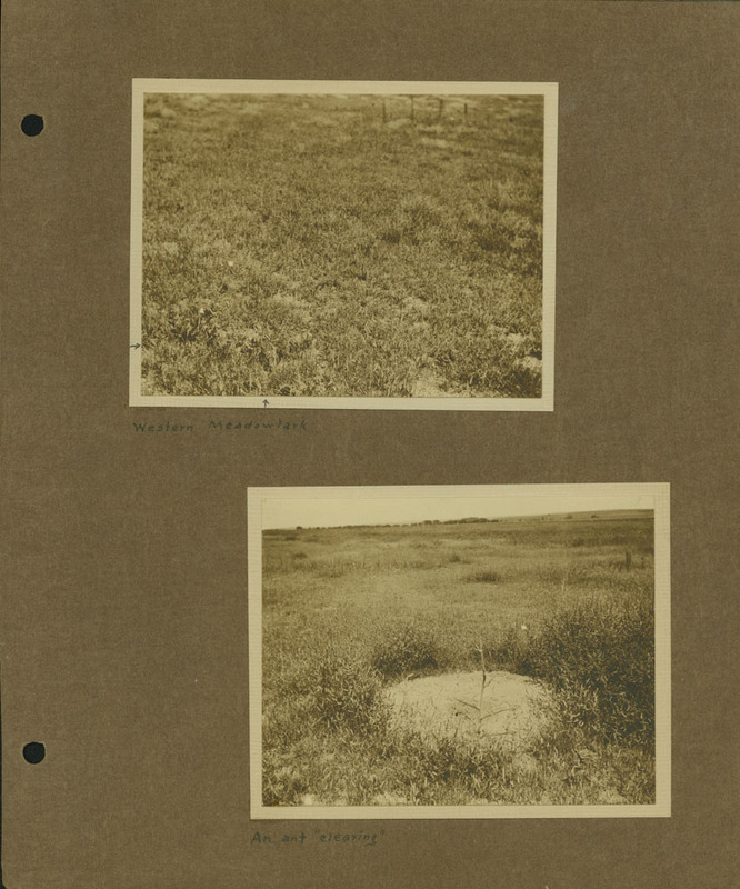 Frank Shoemaker Narratives, Dundy, Hitchcock, Redwillow, Furnas Counties, 1912