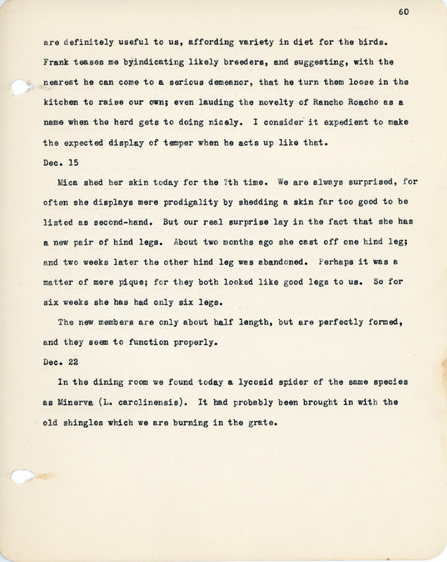 Elizabeth Van Sant transcribed letters