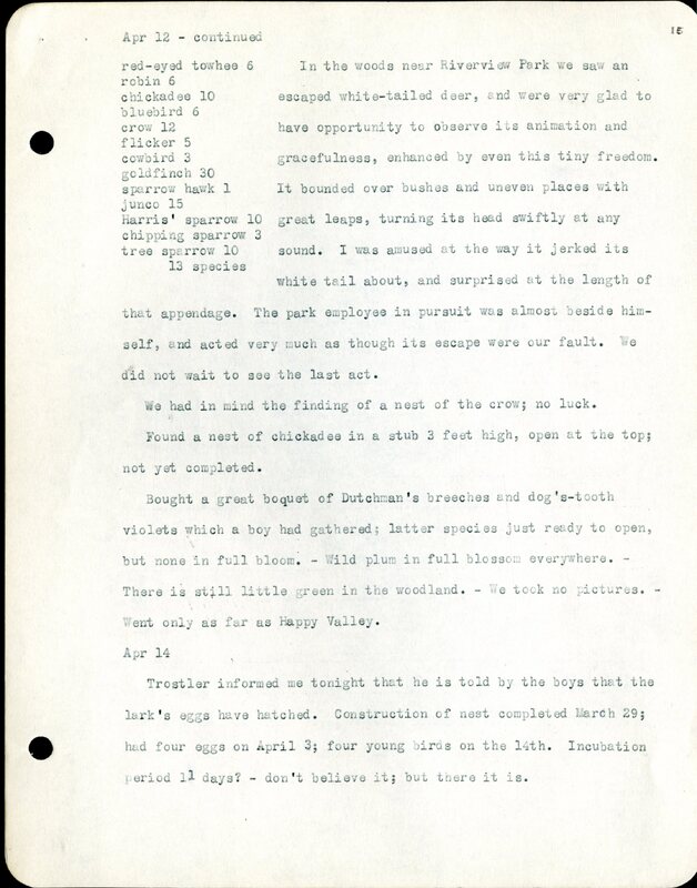 Frank H. Shoemaker typescript, 32 pages, detailing bird sightings, field trips, photography, and associated activities in Omaha, Nebraska.