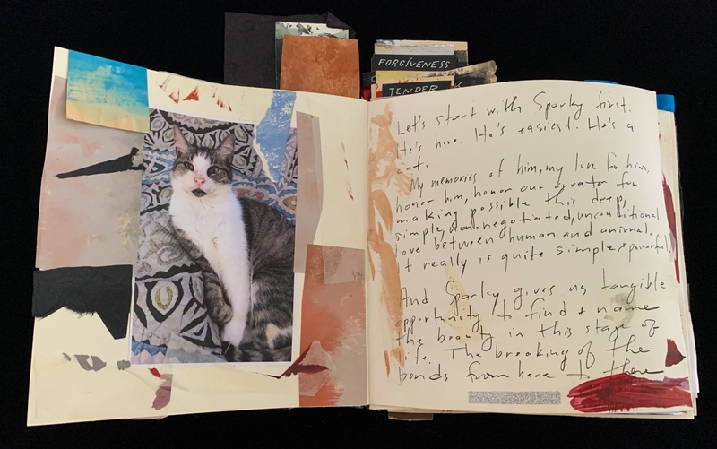 Open scrapbook with a cat photo on the left and handwritten text on the right.