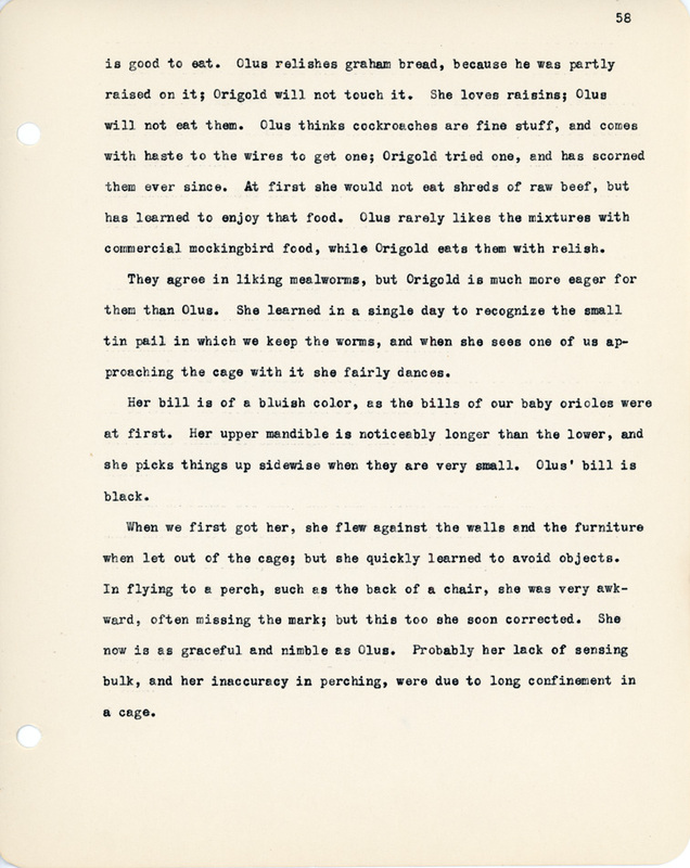 Elizabeth Van Sant transcribed letters