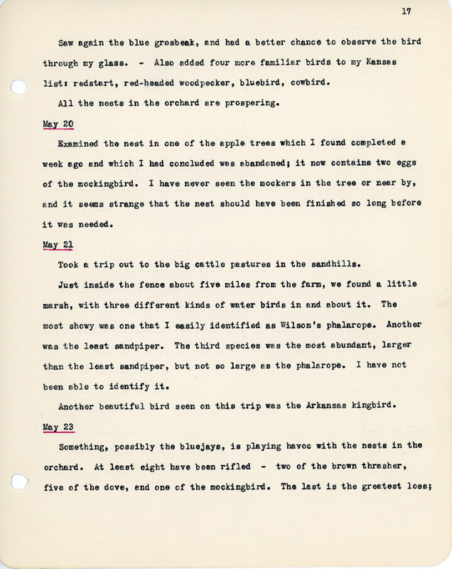 Elizabeth Van Sant transcribed letters