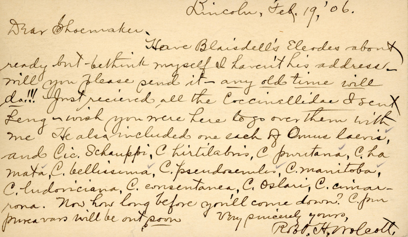 Handwritten postcard from Robert H. Wolcott to Frank H. Shoemaker, "Have Blaisdell's Eleodes about ready but be think(?) myself I haven't his address..."