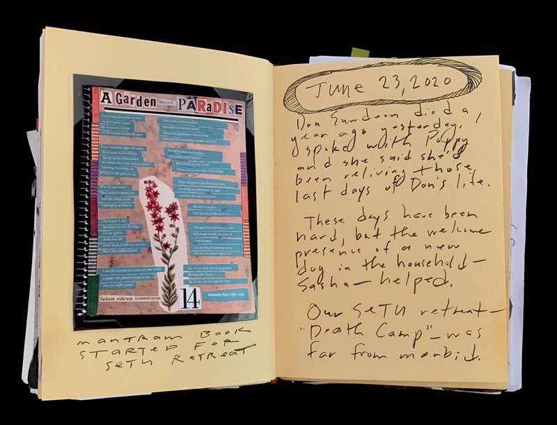 A journal entry dated June 23, 2020, featuring a collage and handwritten notes.