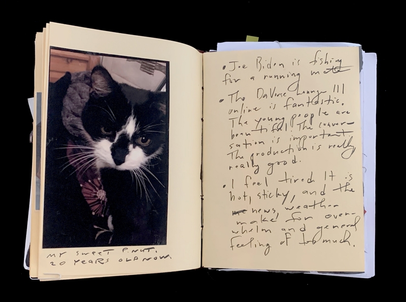 A handwritten page with a photograph of a black and white cat and accompanying notes.