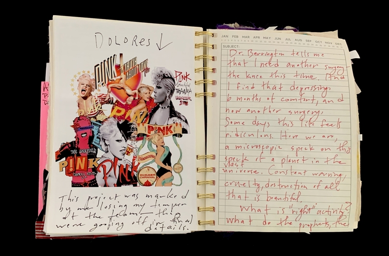A journal page featuring a collage of Pink's concert posters and handwritten reflections on personal struggles and philosophical questions.