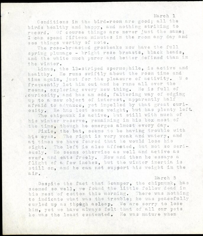 Frank H. Shoemaker typescript, 20 pages, detailing bird sightings, field trips, photography, and associated activities in Omaha, Nebraska.