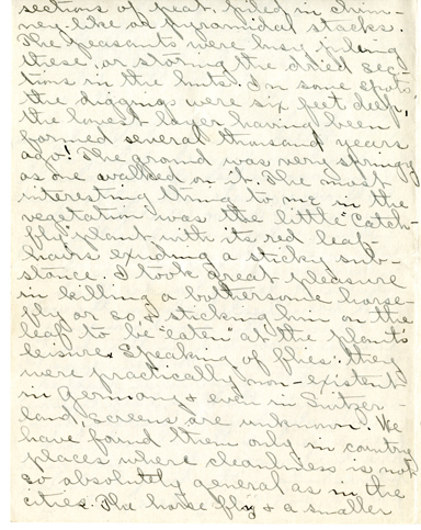 Edith Schwartz Clements handwritten letter