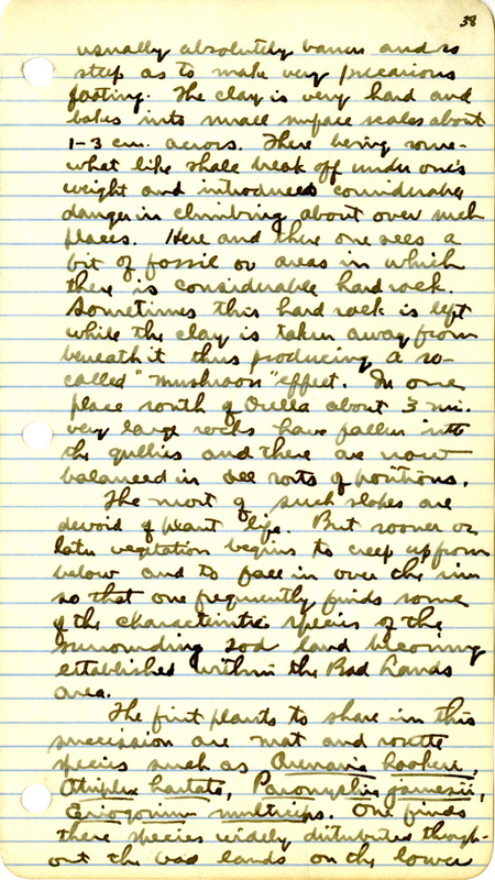 Raymond J. Pool Field Notes and Records