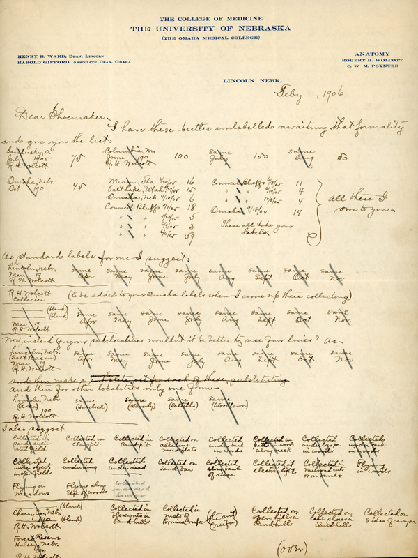 Handwritten letter, 2 pages, from Robert H. Wolcott to Frank H. Shoemaker, "I have these beetles unlabeleed awaiting that formality and give me your the list:"