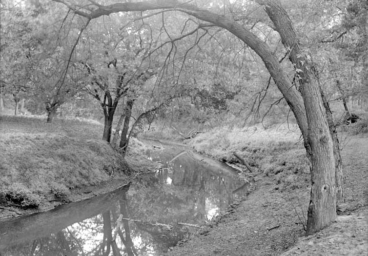 Branson Grove, Salt Creek, 7.30 pm. Sept. 22, 1918. Lancaster County. Frank H. Shoemaker (321301-A0808)