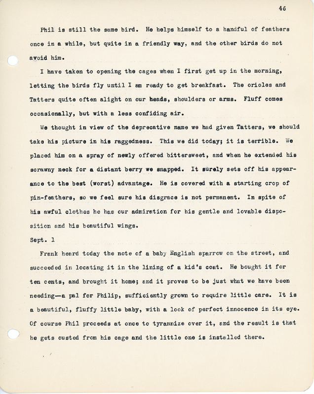 Elizabeth Van Sant transcribed letters