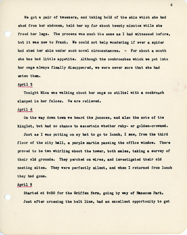 Elizabeth Van Sant transcribed letters