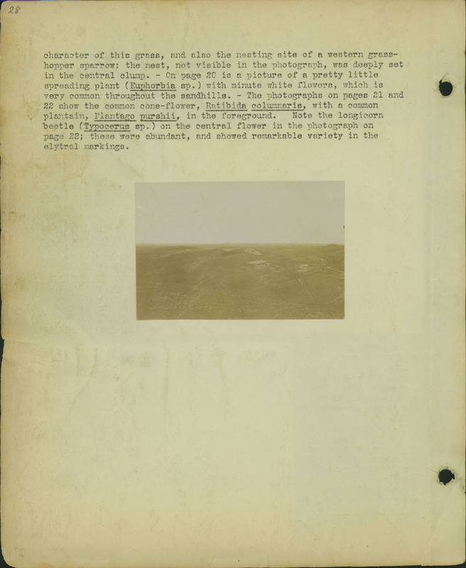 Frank Shoemaker, Narratives, Thomas County, July 3-11, July 27-30, 1911