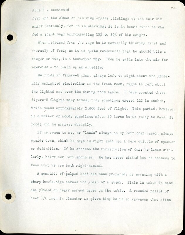 Frank H. Shoemaker typescript, 46 pages, detailing bird sightings, field trips, photography, and associated activities in Omaha, Nebraska.