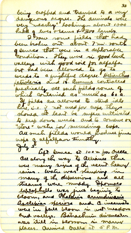 Raymond J. Pool Field Notes and Records