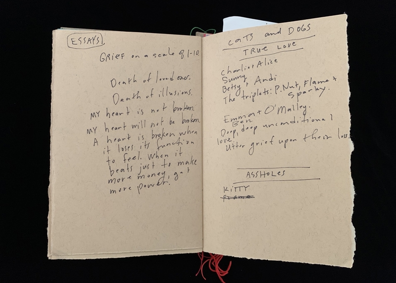 Open notebook with handwritten notes on themes of grief, love, and loss.