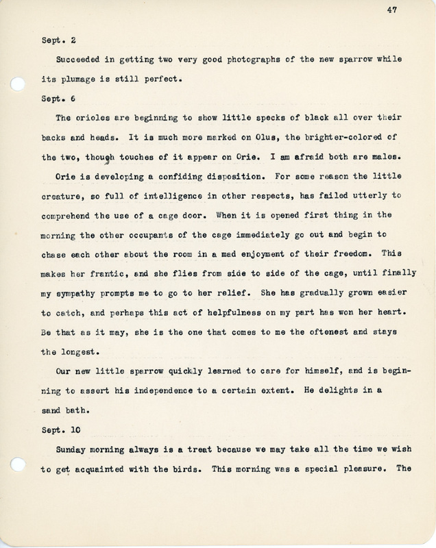 Elizabeth Van Sant transcribed letters