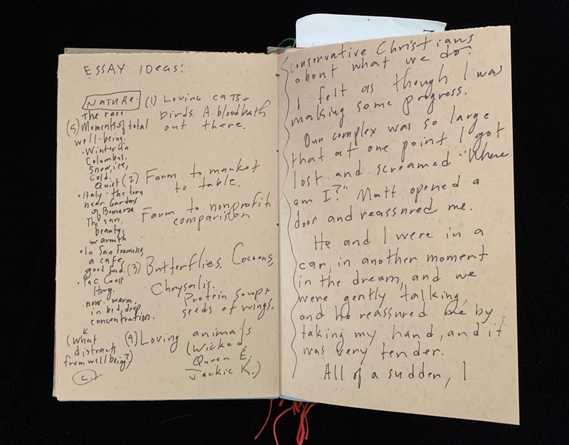 Open notebook with handwritten notes and essay ideas.