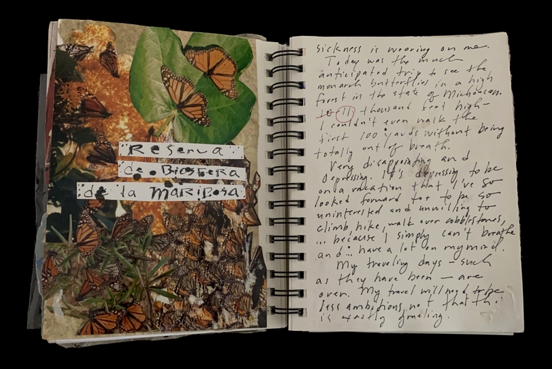 A journal page featuring a photograph of monarch butterflies and handwritten reflections on a trip to the Monarch Butterfly Biosphere Reserve.