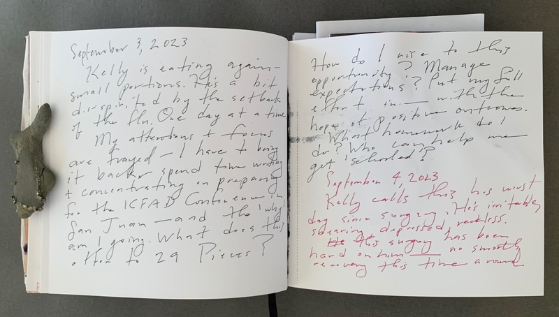 A handwritten journal entry dated September 3, 2023, with additional notes on September 4, 2023, discussing personal challenges and a medical setback.